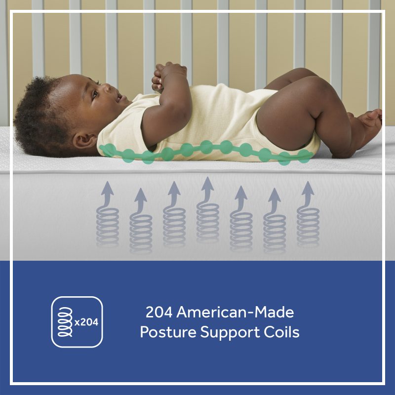 204 American-Made posture support coils