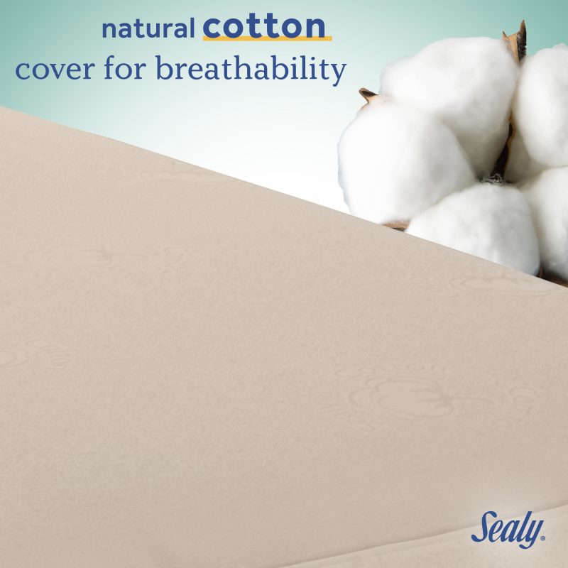 Sealy Soybean Natural Rest 2-Stage Crib Mattress natural cotton cover breathable soft PVC-free airflow pocket cotton wrap comfort protection