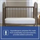 Hypoallergenic Thumbnail