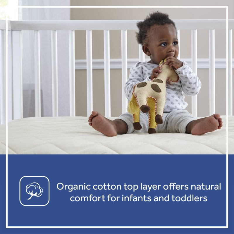 Organic cotton top