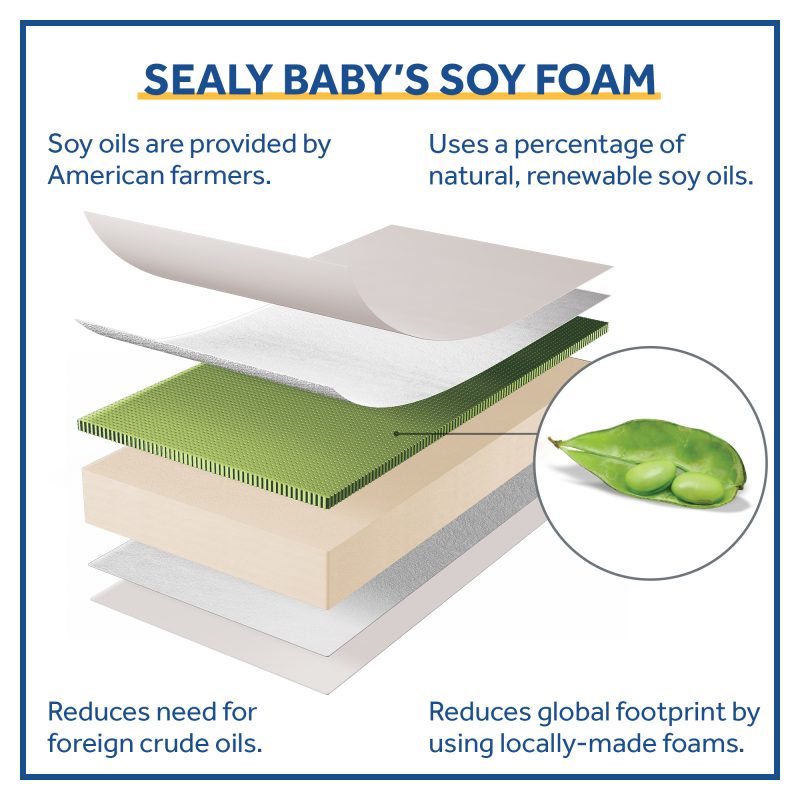 Sealy Soybean Dreams Antibacterial 2-Stage Crib Mattress exclusive SoyLuxe soybean memory foam American-made CertiPUR-US natural soy oils no fire retardants lead mercury phthalates family-friendly