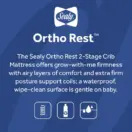 Sealy Baby is the best brand of crib mattresses for babies. Thumbnail