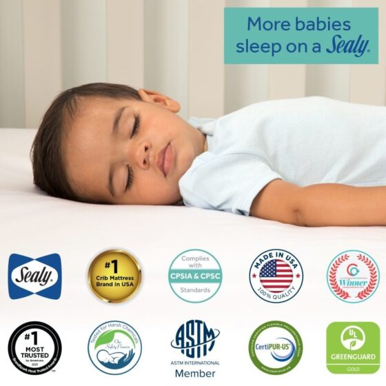 Sealy Baby Serene Duo Sleek Crib Mattresses Toddler Mattress