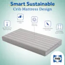 Sealy Butterfly 2-Stage Crib Mattress smart sustainable crib mattress design Thumbnail