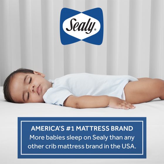 Sealy Healthy Dream 2 Stage Foam Crib Mattress Sealy Baby