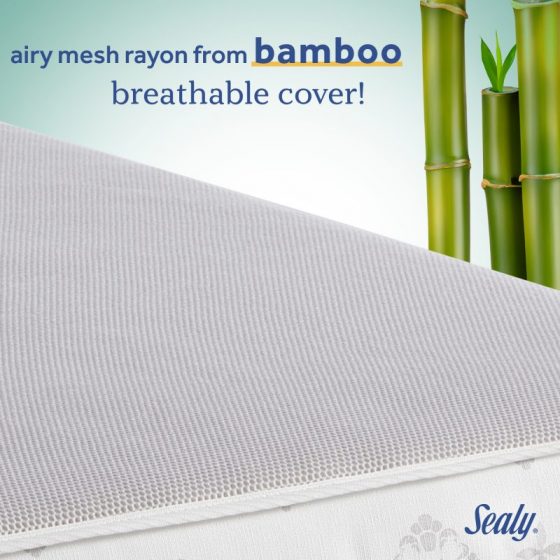 Rayon from Bambo