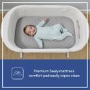 BAby in bassinet_EB004 Thumbnail