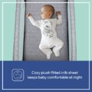 baby in the bassinet Thumbnail